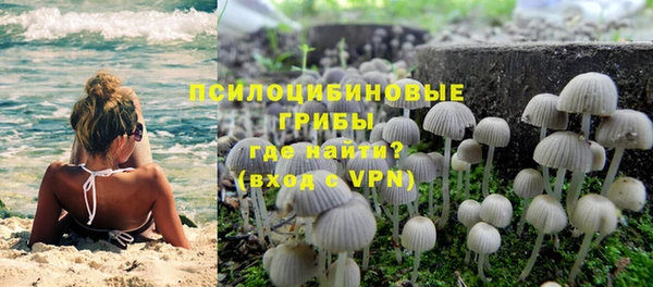 ALPHA PVP Фёдоровский